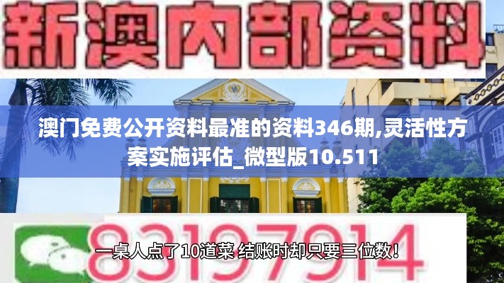 澳门免费公开资料最准的资料346期,灵活性方案实施评估_微型版10.511