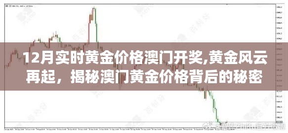 揭秘黄金风云背后的秘密，澳门黄金价格的犯罪真相与犯罪问题探讨