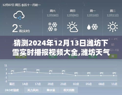 潍坊天气预报揭秘，预测雪落纷飞的冬日画卷，实时播报视频一览