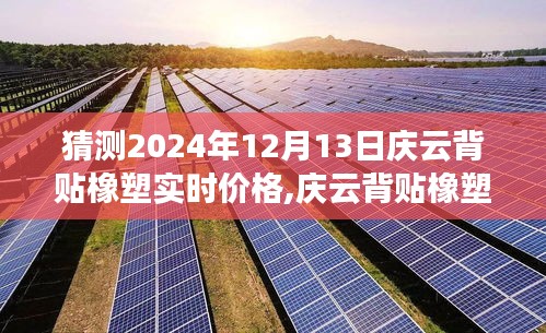 庆云背贴橡塑最新行情预测，聚焦2024年12月13日的行业洞察与价格预测分析