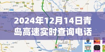 青岛高速实时查询电话功能解析与使用指南（以2024年12月14日为例）