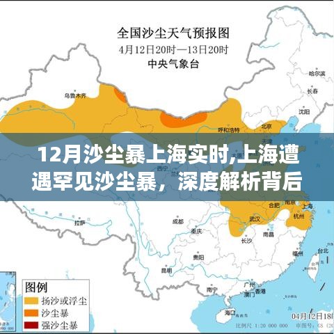 百尺无枝