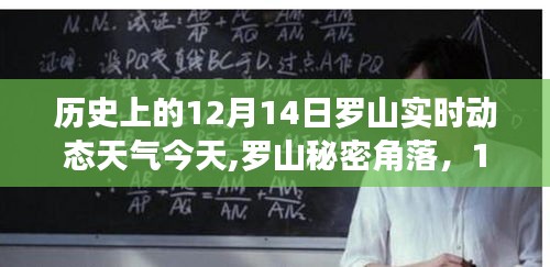 罗山秘密角落美食之旅，探寻12月14日独特天气下的惊喜美食与实时动态天气体验