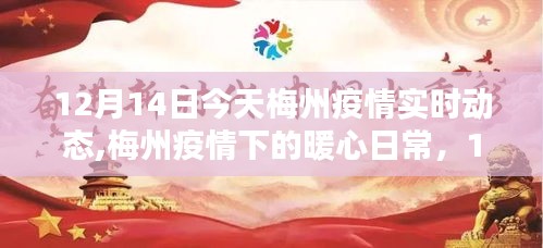 梅州疫情下的暖心日常，实时动态与温馨时光