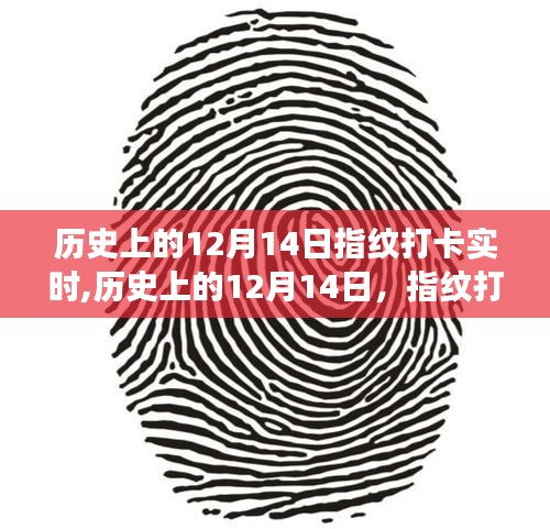 指纹打卡技术的演变之旅，历史上的十二月十四日回顾与实时发展观察