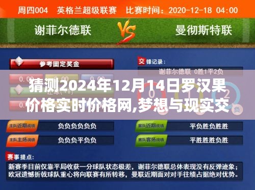 励志之旅，预测罗汉果价格实时走势，梦想与现实交汇于2024年12月14日罗汉果价格网