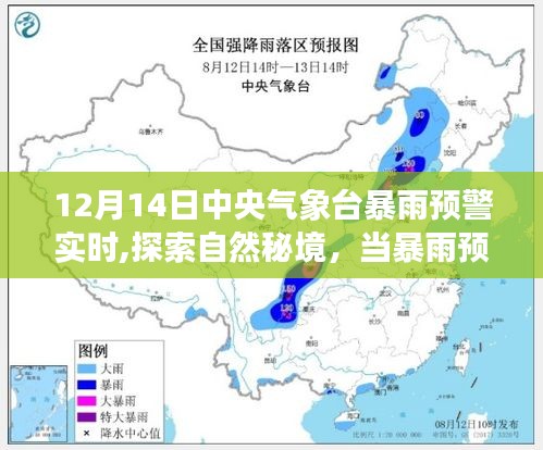 暴雨预警下的心灵之旅，探索自然秘境的奇妙旅程