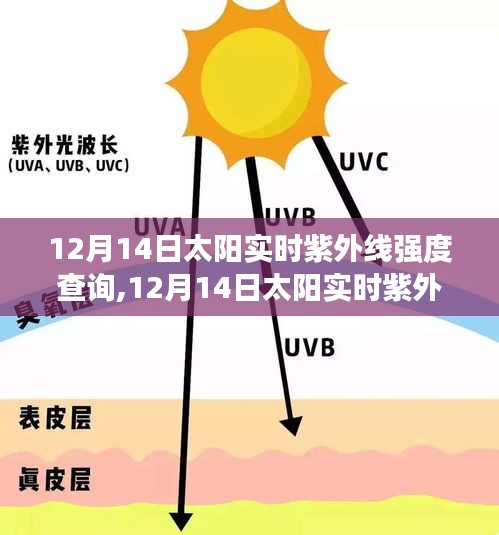 12月14日太阳实时紫外线强度查询，产品评测及实时数据解析