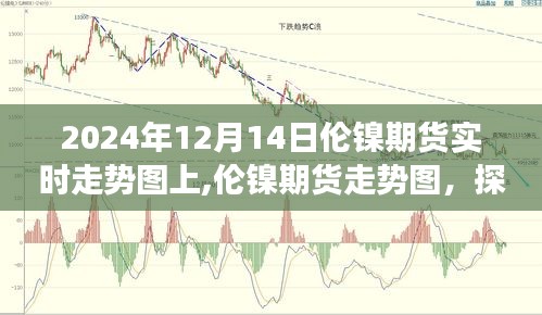 2024年12月14日伦镍期货实时走势解析，波动脉络与影响因素探寻