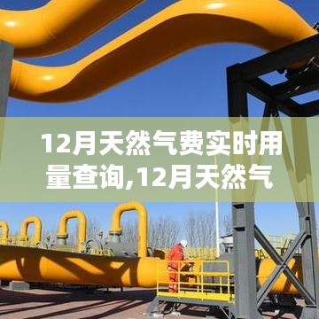 12月天然气费实时用量查询系统详解与深度评测