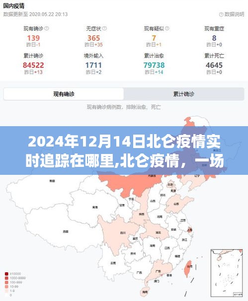 北仑疫情追踪，透明管理与时代记忆交汇的历程（2024年实时更新）