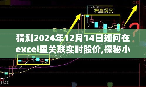 探秘Excel实时股价链接指南，如何关联股市数据宝藏，2024年股市数据实时更新教程