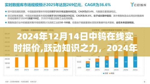 跃动知识之力，揭秘中钨在线实时报价背后的励志故事