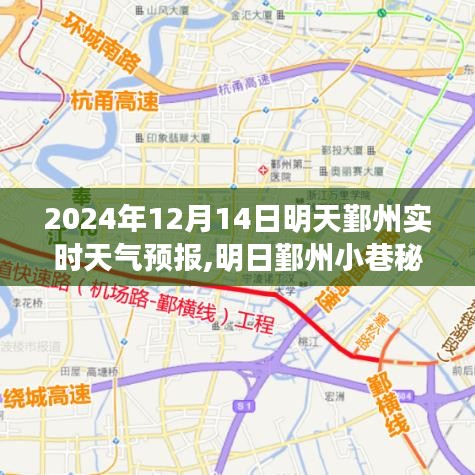 明日鄞州小巷秘境，天气预报与美食的双重惊喜（2024年12月14日）