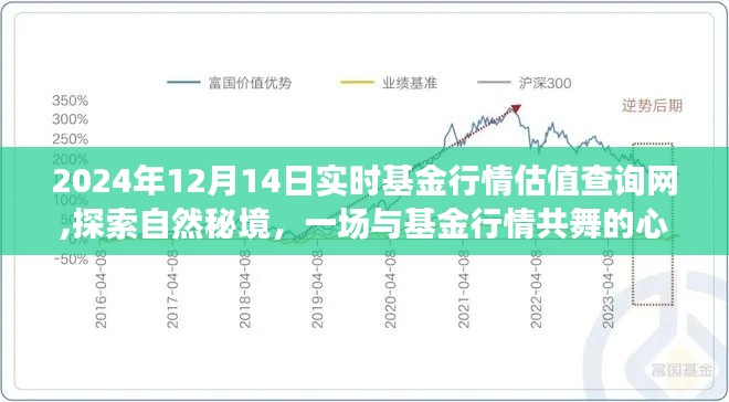 探索自然秘境的心灵之旅，实时基金行情估值查询网，2024年12月14日