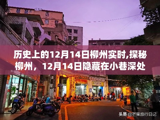 探秘柳州小巷深处的独特风味之旅，历史上的12月14日实时记录