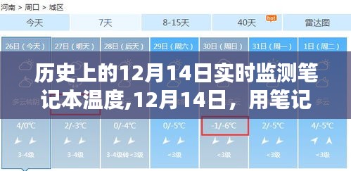 12月14日，笔记本下的自然温度与心灵绿洲之旅