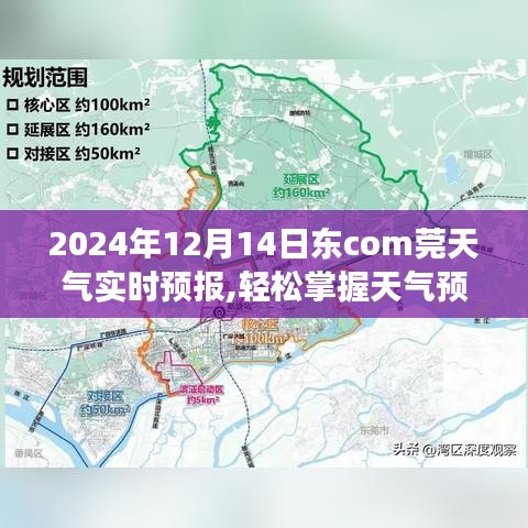 2024年12月14日东莞天气预报，如何获取并解读实时天气信息