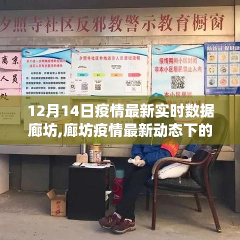 廊坊疫情最新动态下的美食探秘与实时数据追踪