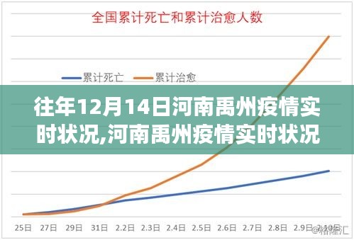 河南禹州疫情实时状况聚焦分析，历年12月14日疫情态势探讨与论述