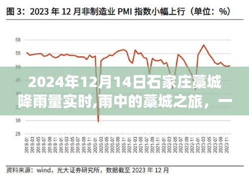 雨中探秘藁城，自然静谧之旅（2024年12月14日石家庄藁城降雨量实时报道）