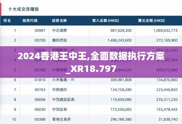 2024香港王中王,全面数据执行方案_XR18.797