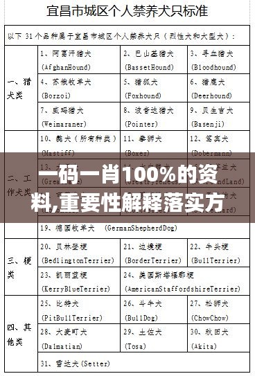 一码一肖100%的资料,重要性解释落实方法_豪华版5.398