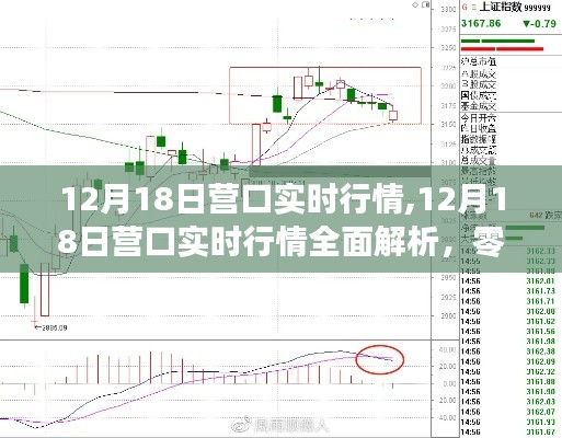 12月18日营口实时行情全面解析及交易策略入门指南