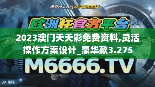 2023澳门天天彩免费资料,灵活操作方案设计_豪华款3.275