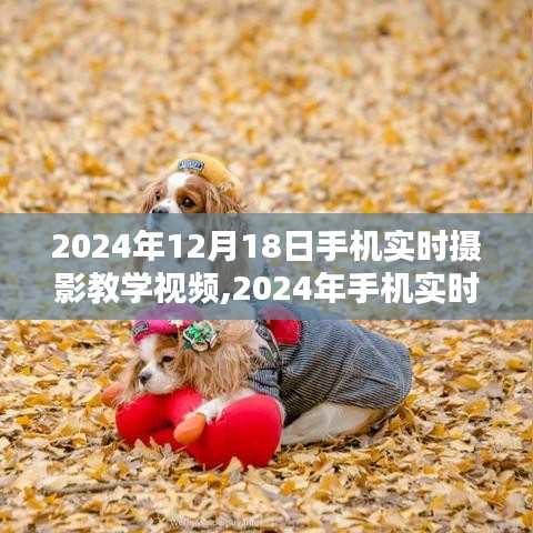 掌握摄影技巧，手机实时摄影教学视频，记录生活之美（2024年最新版）