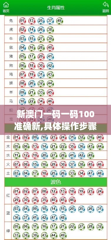 新澳门一码一码100准确新,具体操作步骤指导_旗舰款8.120