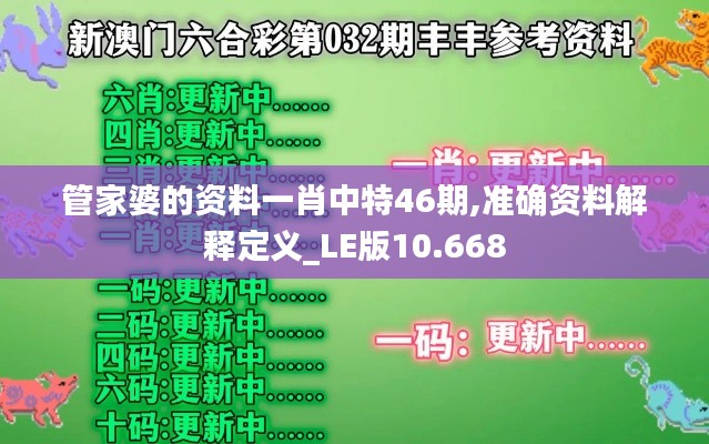 管家婆的资料一肖中特46期,准确资料解释定义_LE版10.668