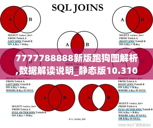 7777788888新版跑狗图解析,数据解读说明_静态版10.310