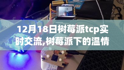 树莓派下的TCP实时交流与温情时光的日常故事