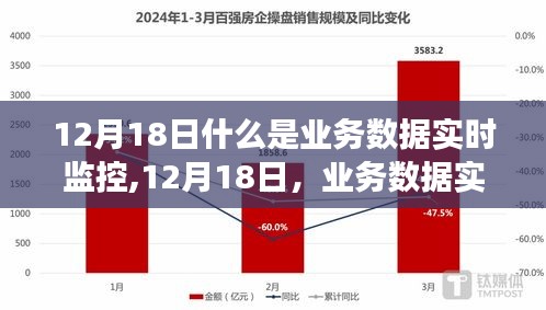 业务数据实时监控背后的故事与温馨时刻（12月18日）