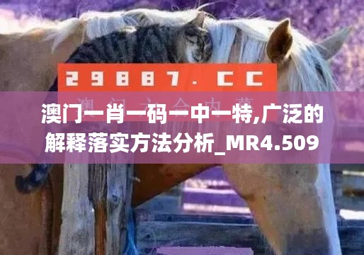 澳门一肖一码一中一特,广泛的解释落实方法分析_MR4.509