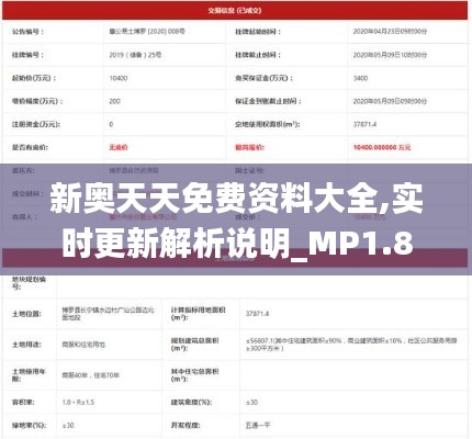 新奥天天免费资料大全,实时更新解析说明_MP1.891