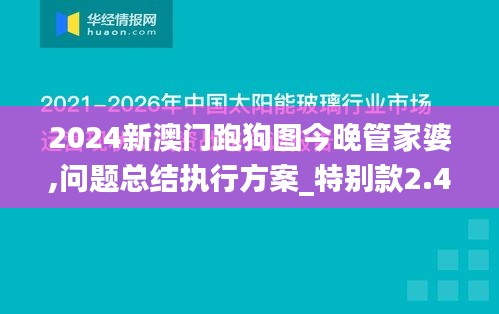 2024新澳门跑狗图今晚管家婆,问题总结执行方案_特别款2.411