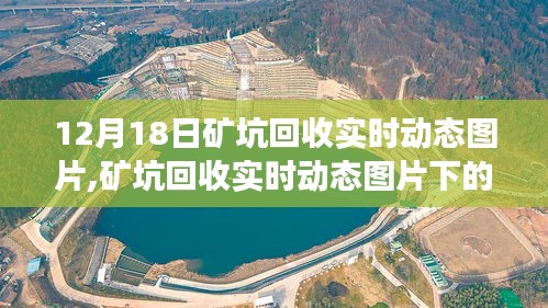 12月18日矿坑回收实时动态图片，多维度视角的深度探讨