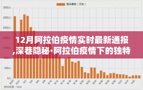 阿拉伯疫情最新通报与独特风味体验，深巷隐秘中的故事