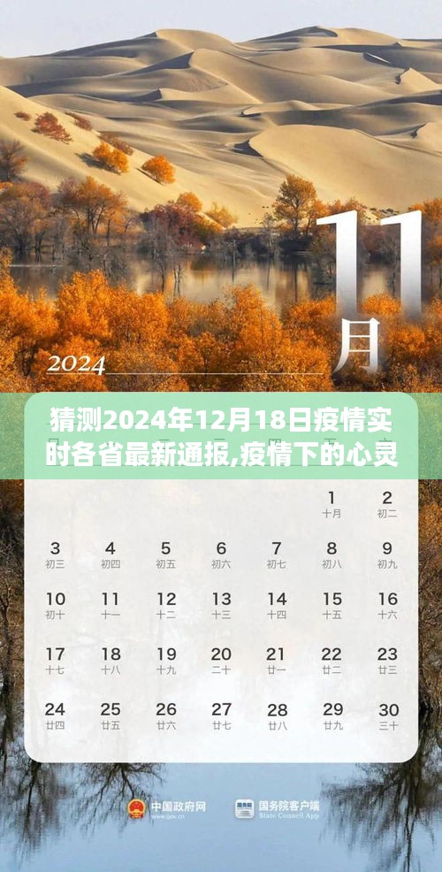 疫情下的心灵之旅，预测未来，拥抱自然美景的奇妙探险之旅——2024年疫情实时通报