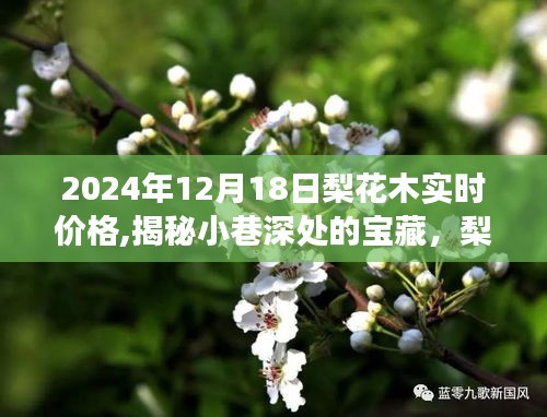 揭秘时光之木特色小店，梨花木价格风向标，2024年最新实时价格揭晓