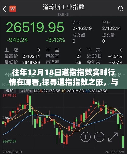 探寻道指指数之旅，实时行情与自然美景的交融，重拾内心宁静的启示