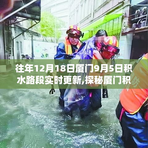 厦门积水路段实时更新，探秘特色小巷与奇趣小店