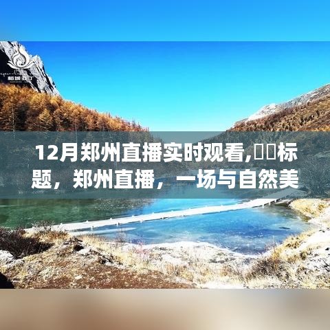 郑州直播，与自然美景的冬日邂逅，心灵宁静之旅