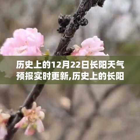 历史上的长阳天气预报探寻，数据背后的故事与变迁——实时更新中的历史数据解析