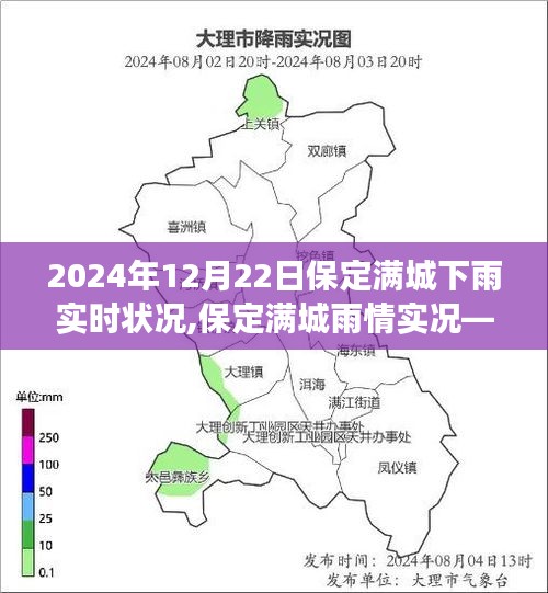 2024年12月22日保定满城雨情实况，下雨实时状况与天气观察