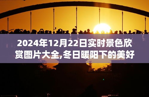 冬日暖阳下的美景瞬间，实时景色欣赏之旅，记录美好时光，2024年12月22日实拍图片大全分享