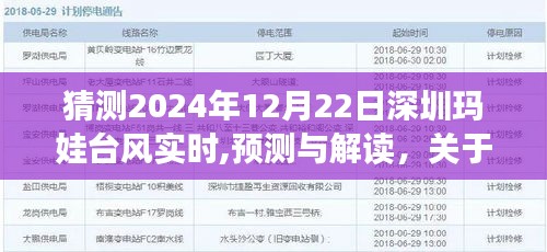 关于深圳玛娃台风在2024年12月22日的实时动态分析与预测解读