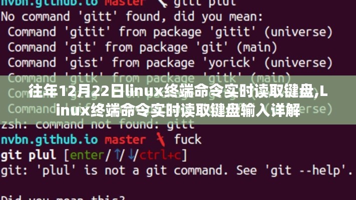 Linux终端命令实时读取键盘输入详解，操作指南与技巧